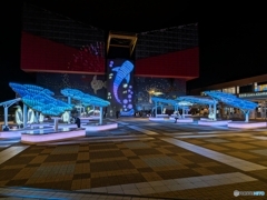 海遊館イルミネーション☆