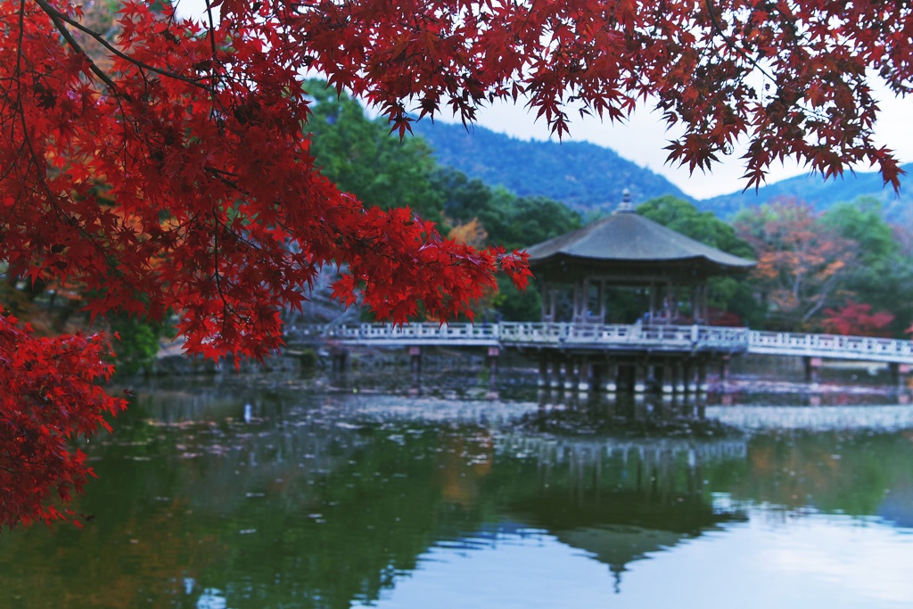 紅葉と浮御堂