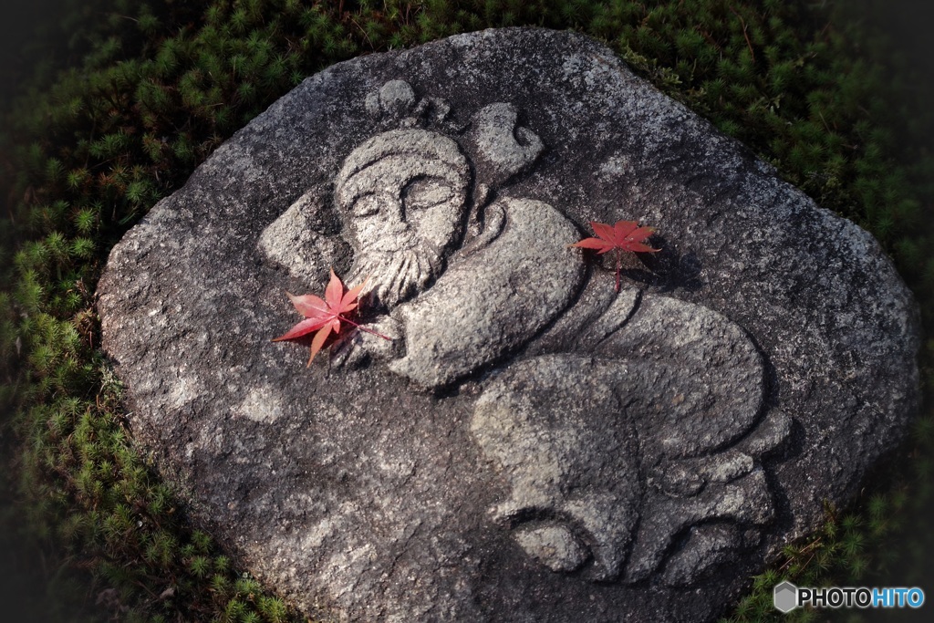 ひっそりと秋眠中