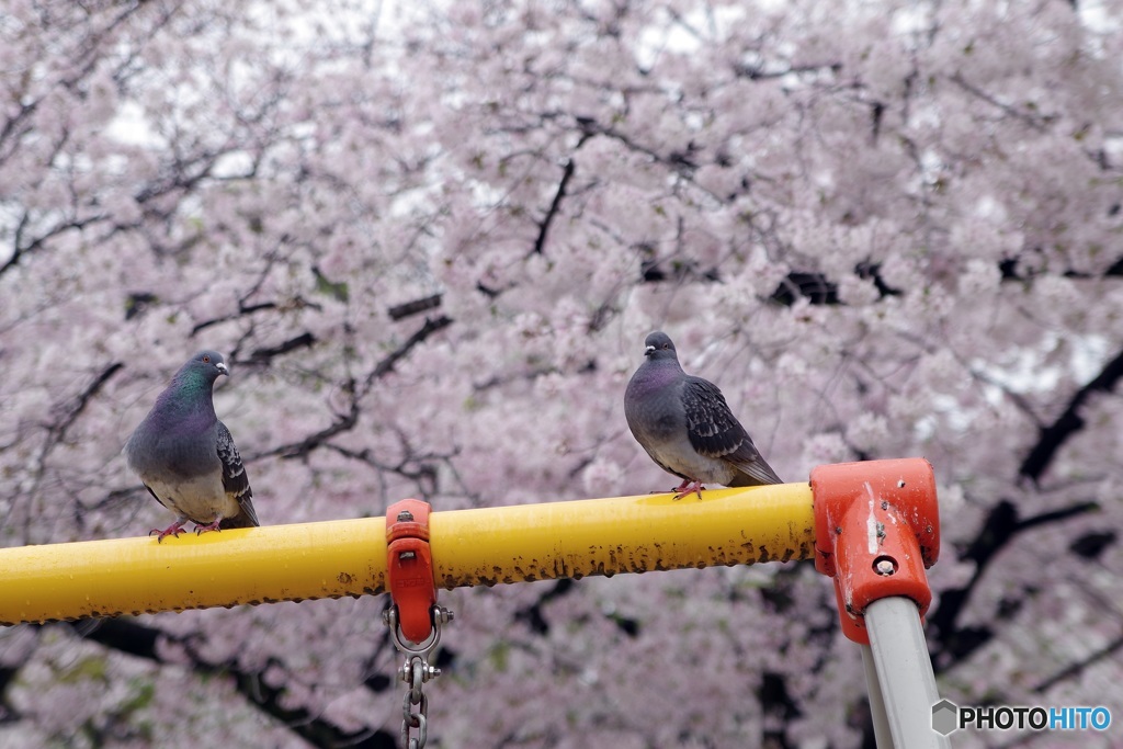 もっとこっちにおいでよ♡