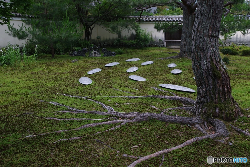 鹿王院庭園
