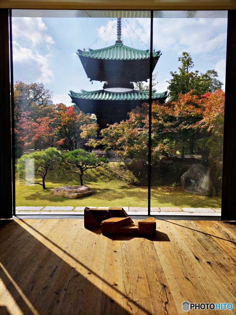 いつものお庭で新たな出会い