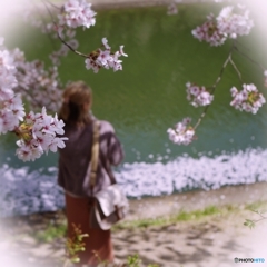 桜の下にて