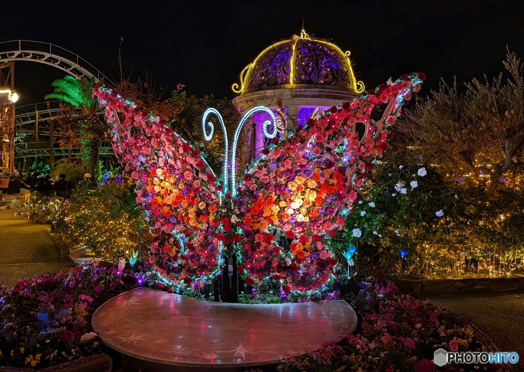 真っ赤なbutterfly