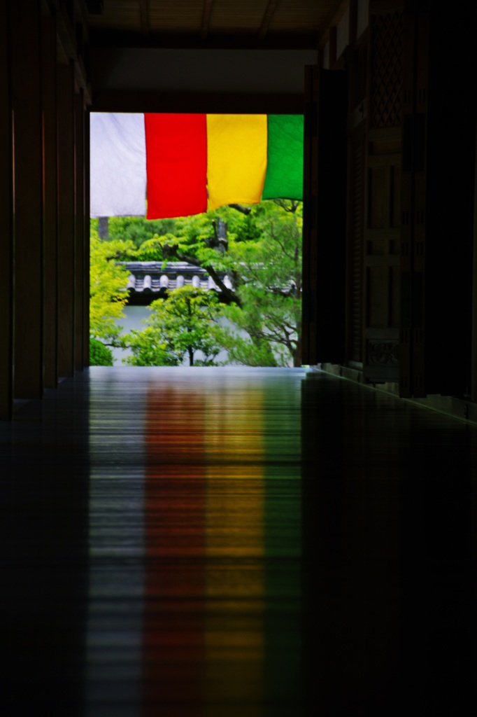 智積院・講堂　床にしき