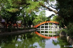 住吉大社 太鼓橋