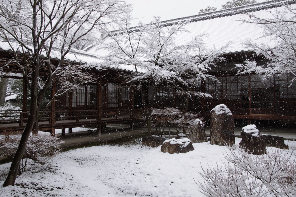 建仁寺・潮音庭