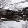 建仁寺・潮音庭
