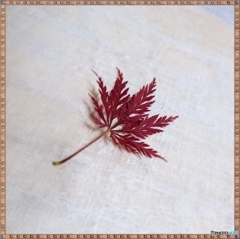 落ち葉ひとひら 往く年