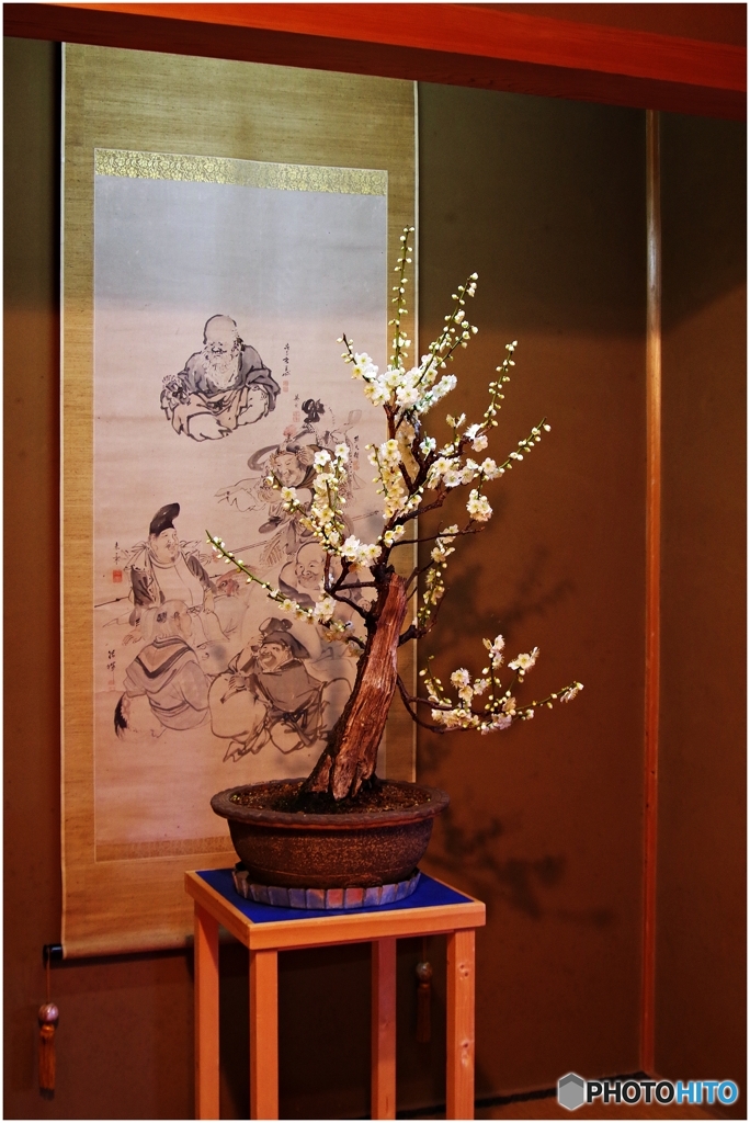 郡山城跡盆梅展④ 七福神の掛け軸と