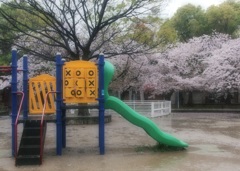 ひとり占めの雨桜❤