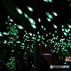 アクアリウム atoa①