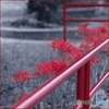 児童公園の赤