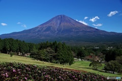 まかいの牧場から富士山