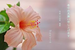 暑中お見舞い申し上げます
