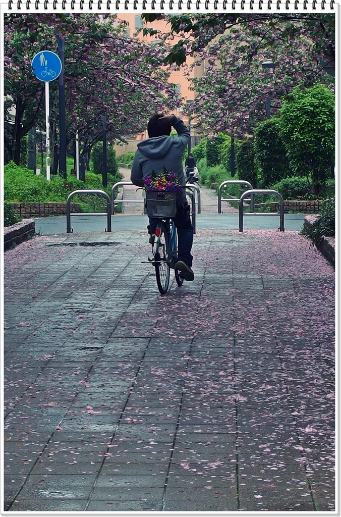 花残月、雨あがり