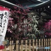 すべらんうどん