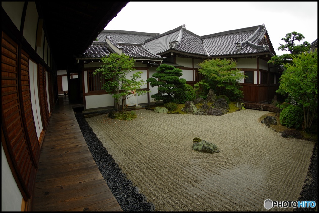 枯山水の庭に