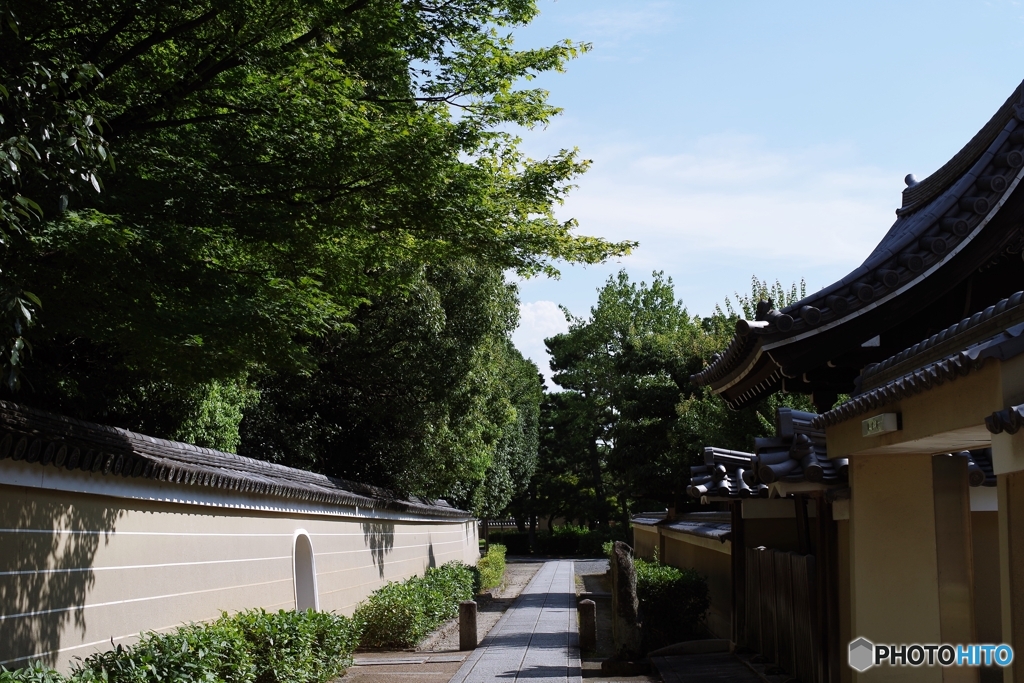 建仁寺への小径