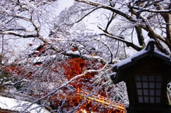 雪化粧の上賀茂神社楼門