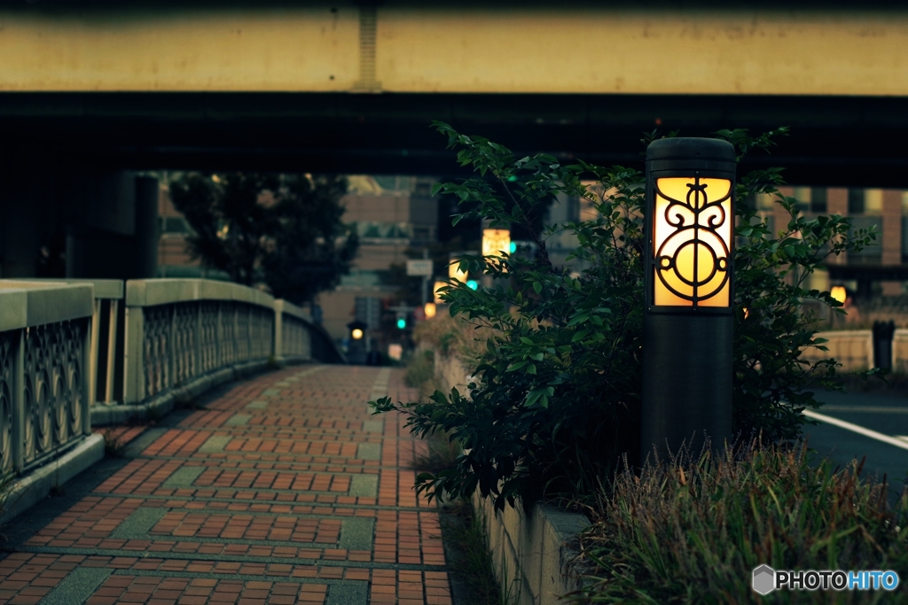 鉾流橋に灯が点るころ～堂島川～