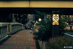 鉾流橋に灯が点るころ～堂島川～