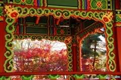 韓国庭園の紅葉②