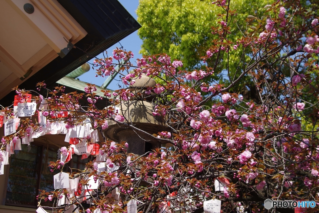 桜宮神社にて