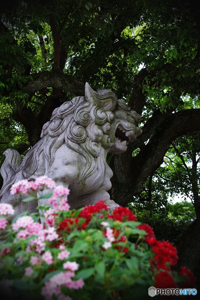 住吉公園の『あ』