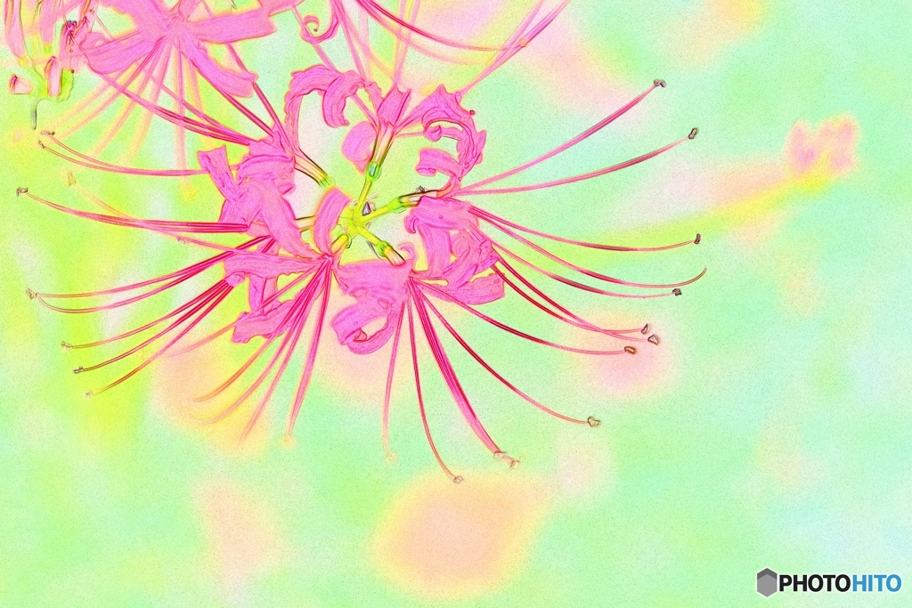 あの日の華美 水彩曼珠沙華