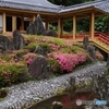 松尾大社曲水の庭 水辺