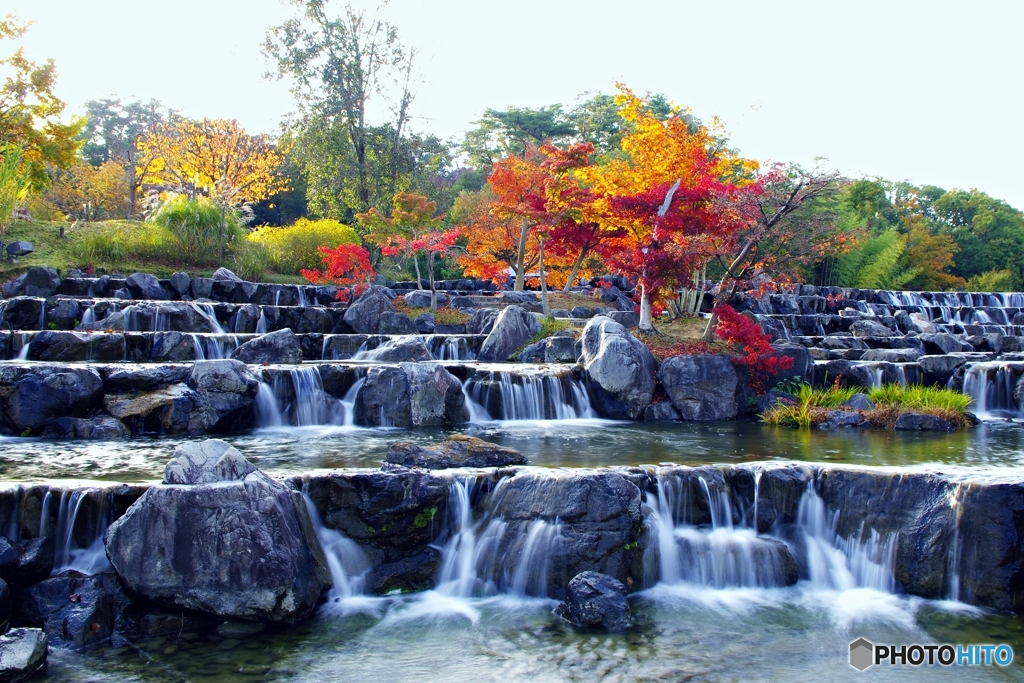 水景棚の紅葉