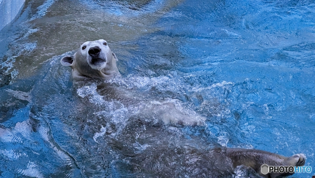 ホウちゃんはごきげんでした☆