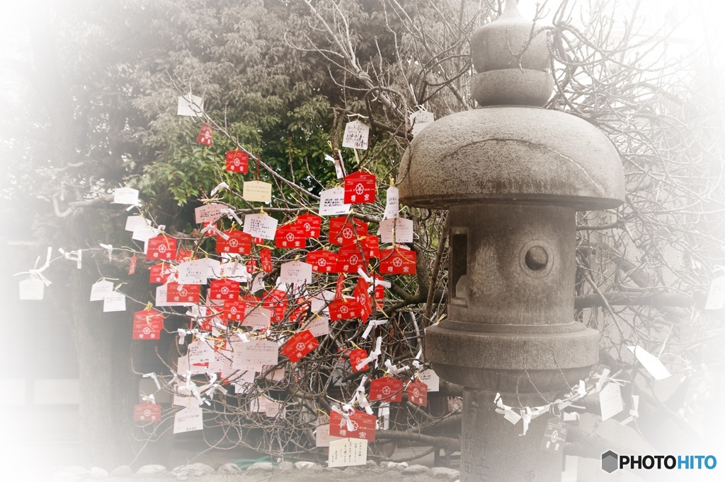 絵馬の花咲く氏神神社