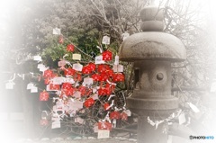 絵馬の花咲く氏神神社