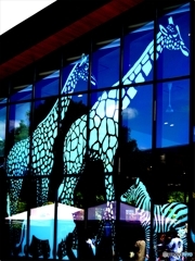 天王寺Zoo