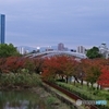 ご近所の秋景色詰め合わせ