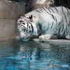 のどが渇くね