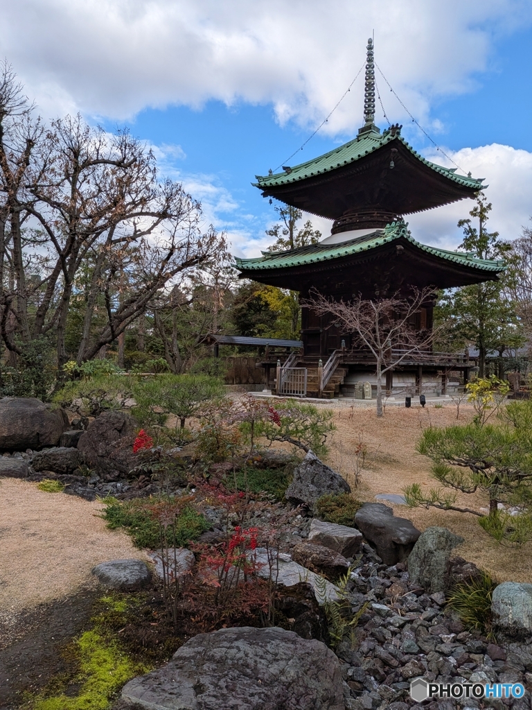 冬の藤田邸跡公園