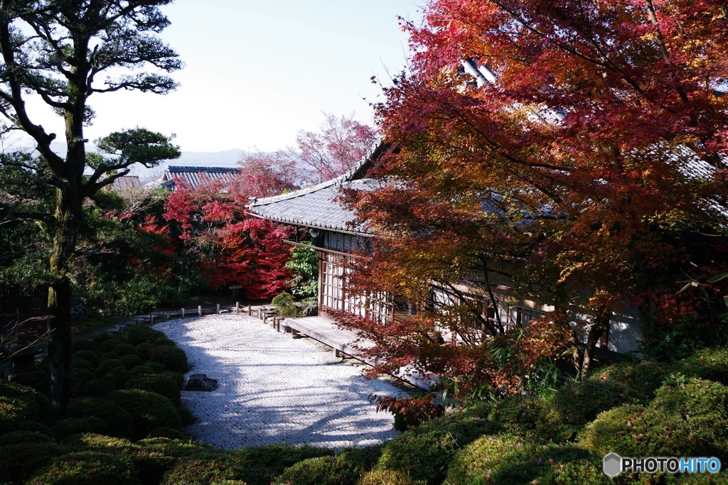 紅葉の金福寺