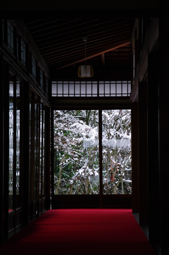 天授庵・冬の庭