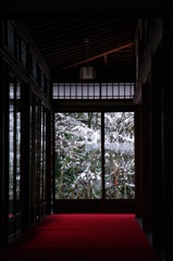 天授庵・冬の庭
