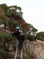 仕事人の背