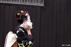 やっぱり暑うおすなあ～