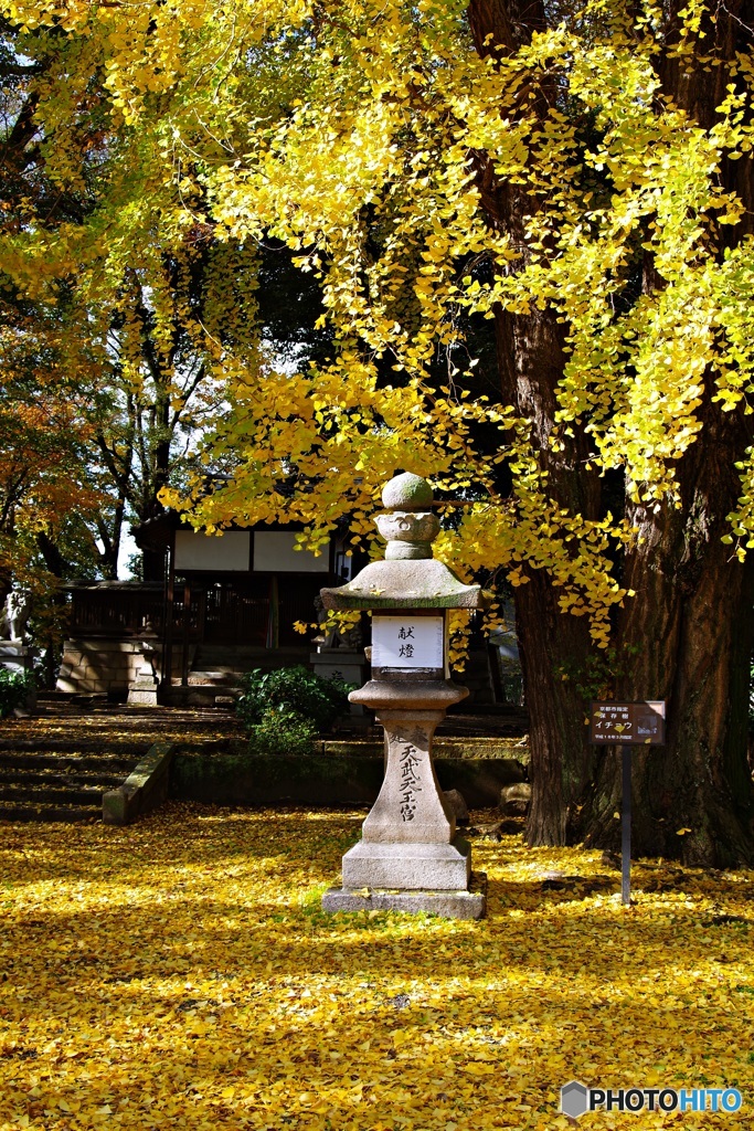 ひとり占めの風景