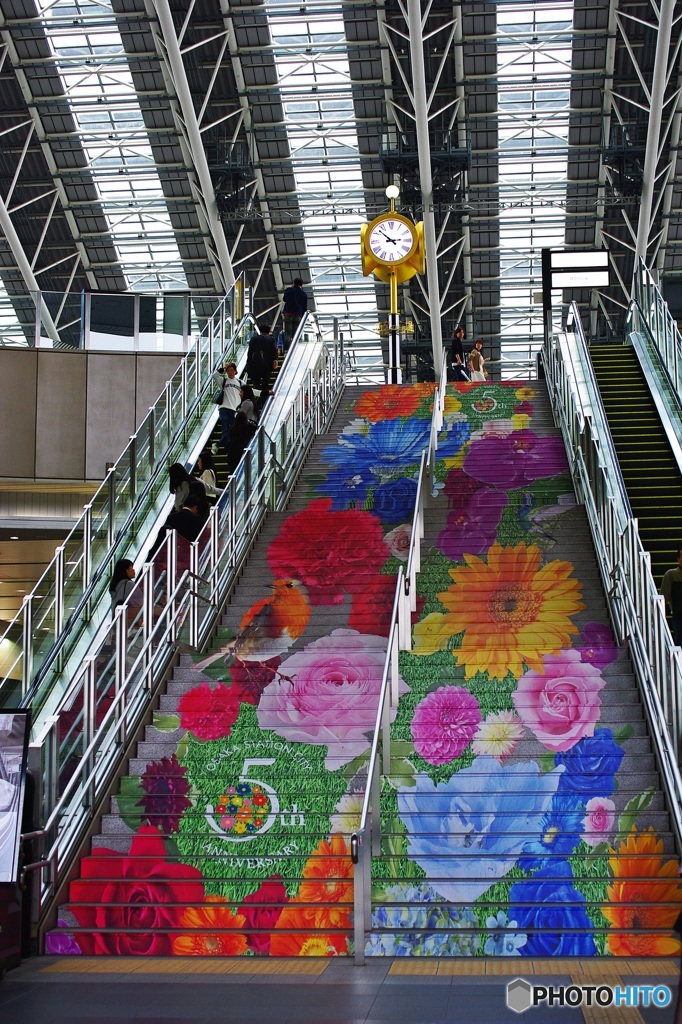 お花の階段♬