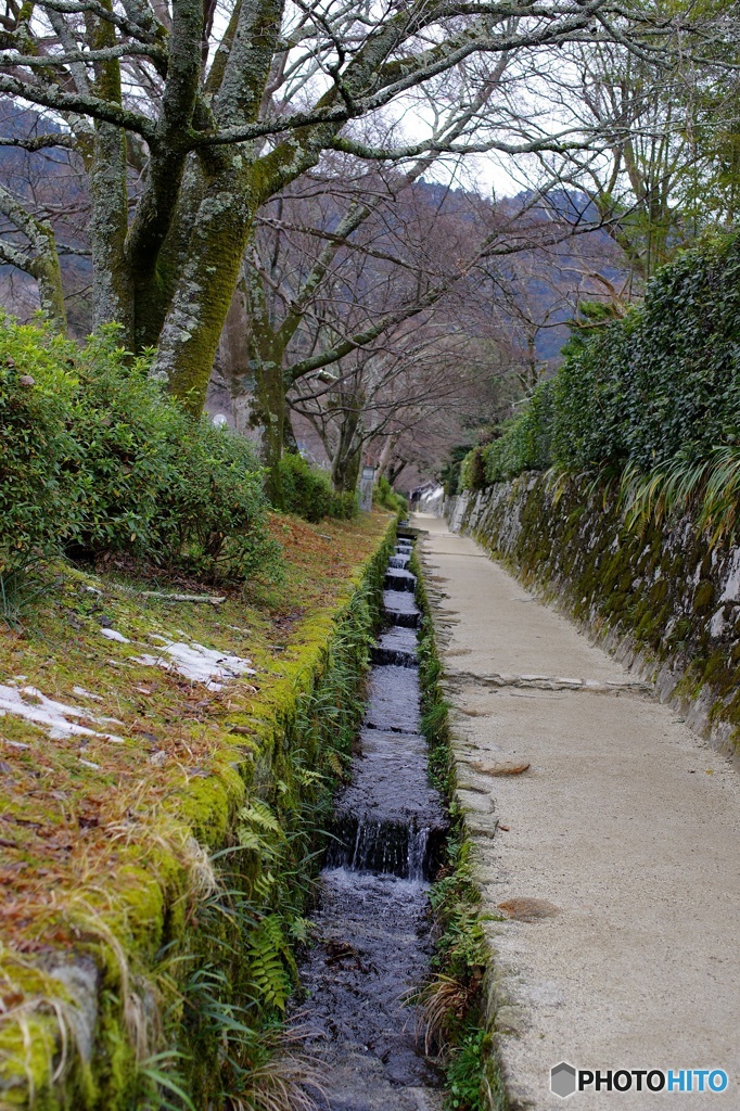 せせらぎのある坂道