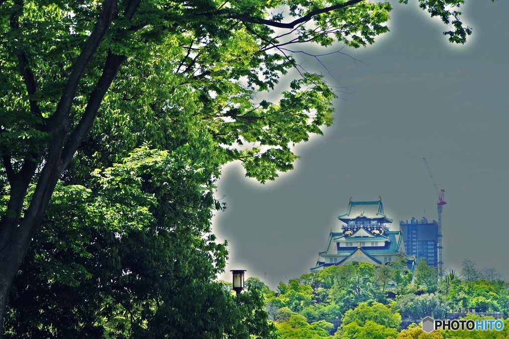 新緑と大阪城とクレーン