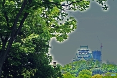 新緑と大阪城とクレーン