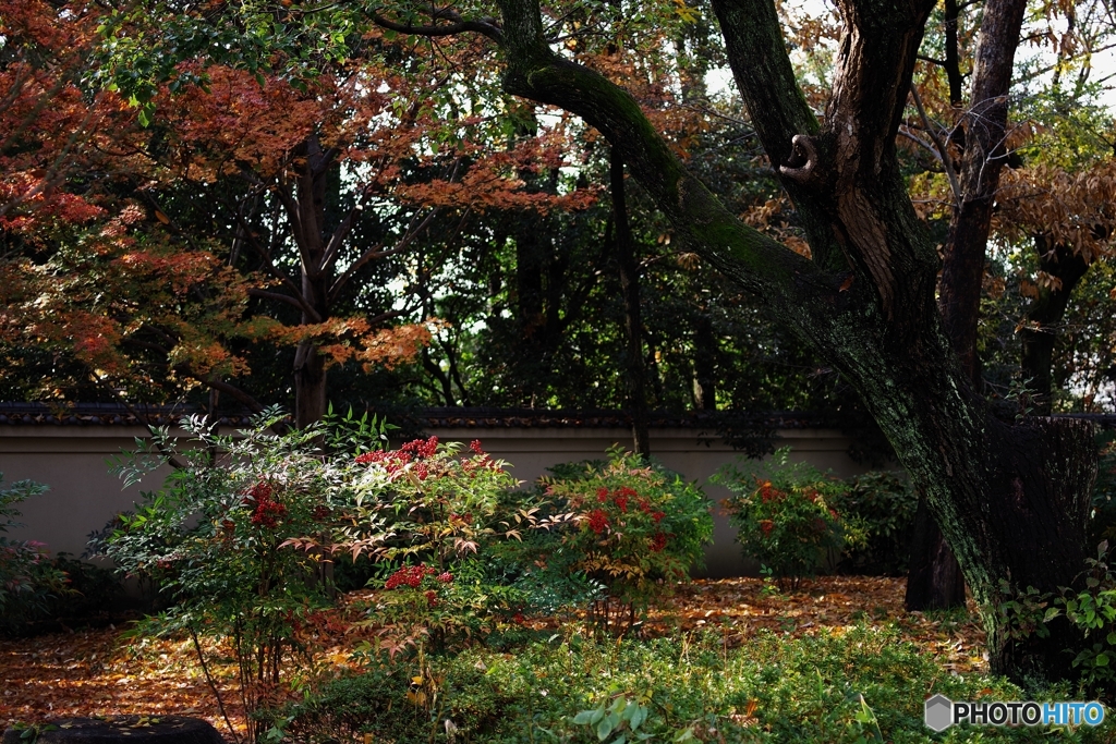 初冬の藤田邸跡公園